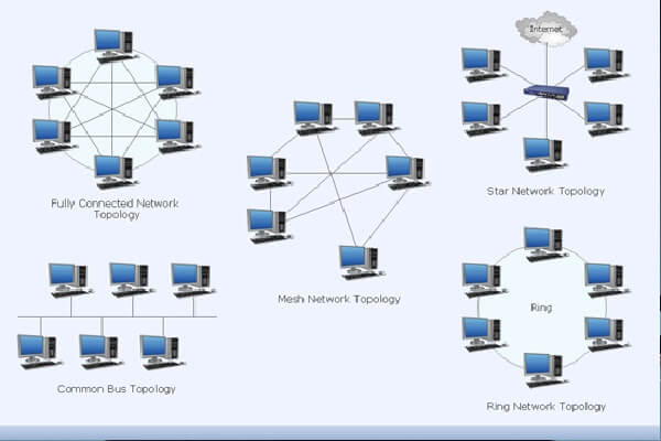 انواع مختلف شبکه بر اساس کارکرد